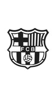 Barcelona Football Club Mounted Wall Art Design