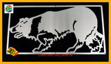 Border Collie Mounted Wall Art Stainless Steel Brush Finish