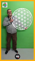 Flower Of Life Wall Art