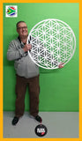 Flower Of Life Wall Art