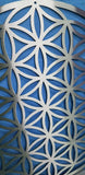 Flower Of Life Wall Art