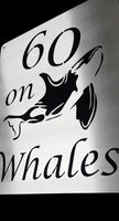 Whale Design House Sign Wall Art