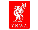 Y.n.w.a. Liverbird Mounted Wall Art Small - Red